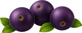 Açaí berries
